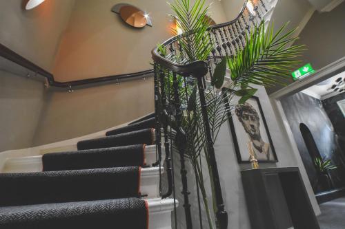 a group of stairs with plants in a room at The Rutland Hotel & Apartments in Edinburgh