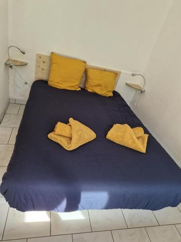 蒂爾凱姆的住宿－les griffes d'or，一张带两个黄色枕头的床