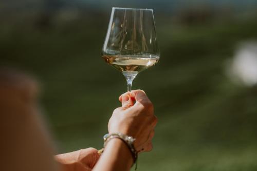 a person holding up a glass of white wine at Mahorko Wein Wellness Wasserbüffel in Glanz an der Weinstraße 