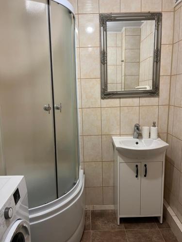 a bathroom with a shower and a sink and a mirror at Vienibas apartment in Daugavpils