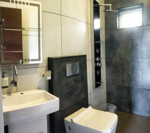 瓦戈曼的住宿－Dellamore Havn，一间带水槽、卫生间和镜子的浴室