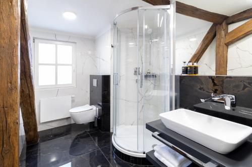 a bathroom with a shower and a sink and a toilet at Hotel Ikona in Prague