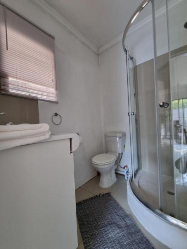 une salle de bain avec douche et toilettes dans l'établissement Bryanston Elgin - Cottage 1, à Johannesbourg