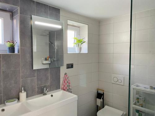 a bathroom with a sink and a mirror and a toilet at Ubytovanie Stratený budzogáň in Kľače