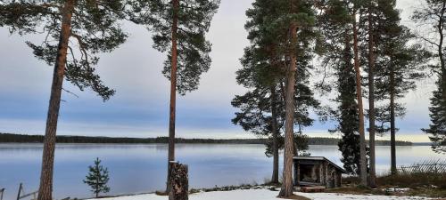 eine Hütte am Ufer eines Sees mit Bäumen in der Unterkunft Chalet Norva in Rovaniemi