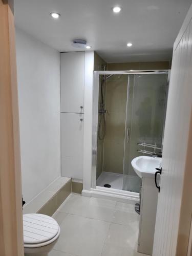 a bathroom with a shower and a toilet and a sink at Beautiful One Bed Studio Flat - Dog Friendly in Bridgwater