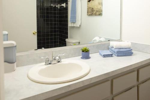 a bathroom counter with a sink and a mirror at Sand Serpent Economy Room in Tampa