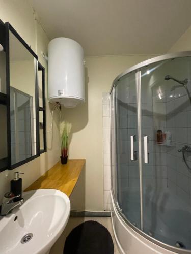 a bathroom with a shower and a sink at Külaliskorter Tõrva linnas in Tõrva