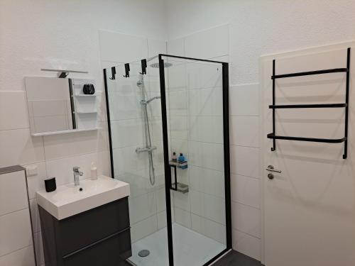 La salle de bains est pourvue d'une douche et d'un lavabo. dans l'établissement Gemütliche Wohnung mit Garten, à Horn-Bad Meinberg
