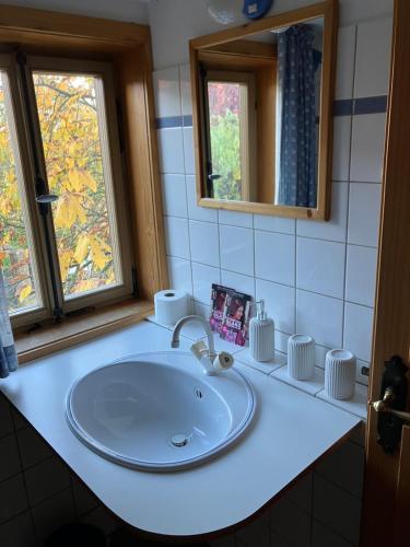 a bathroom counter with a sink and two windows at Hotel & Landgasthof Zur Sonne 