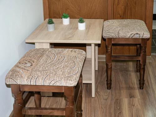 d'une table en bois et de deux tabourets avec des plantes. dans l'établissement Sobe Marija, à Kikinda