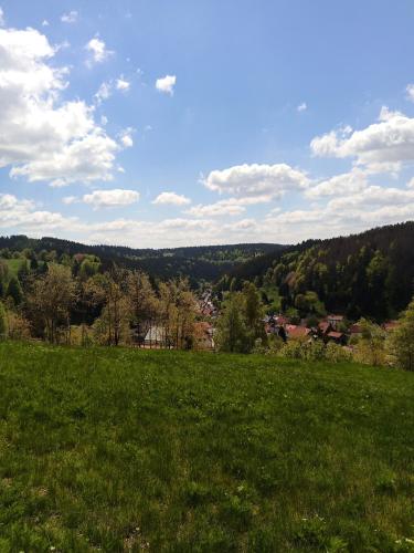 a field of green grass with a town in the distance at Im alten Kino in Fehrenbach