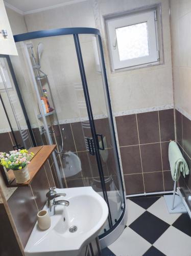W łazience znajduje się prysznic i umywalka. w obiekcie Apartament Belvedere w mieście Gałacz