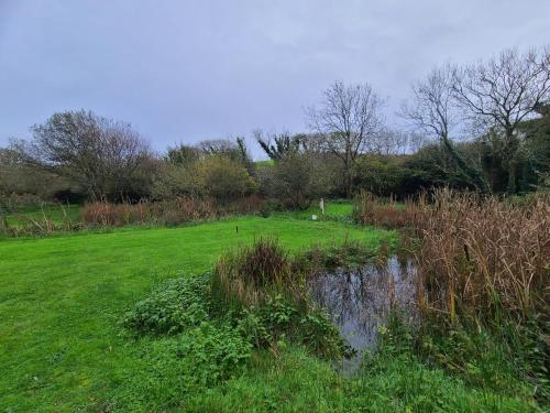 a grassy field with a pond in a field at 9 Timber Hill in Broad Haven
