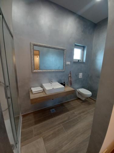 a bathroom with a sink and a toilet and a mirror at Apartma in Izimje
