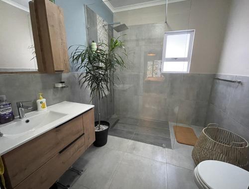 baño con lavabo y ducha con planta en Villa Songo, Estuary Country Estate, INVERTER & RENOVATED, en Port Edward
