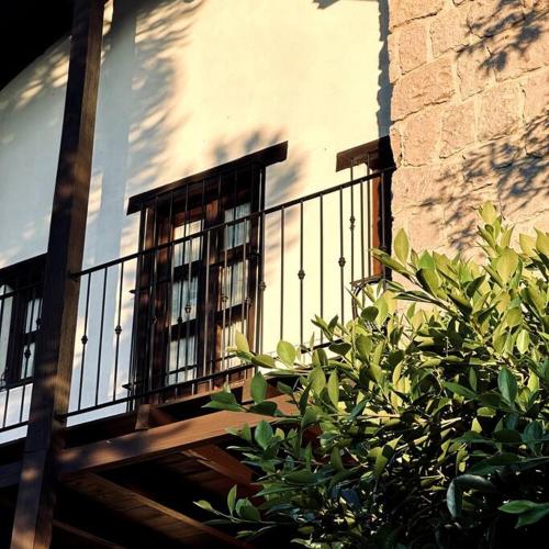 a balcony of a building with a window and a bush at Casa Cantera in Teziutlán