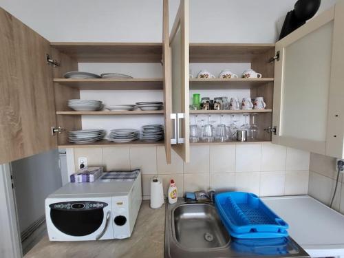 a small kitchen with a sink and a microwave at Wishy Washy House in Debrecen