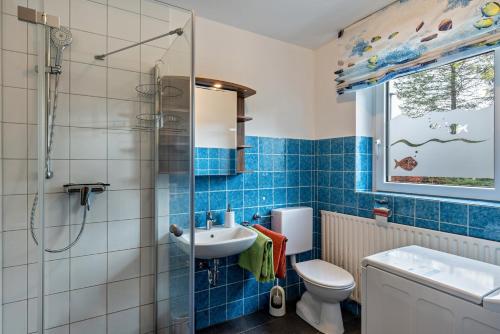 a bathroom with a toilet and a sink and a shower at Haus Wiesengrund - Hundefreundlich in Gammertingen