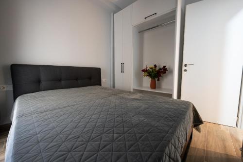 Central Studio SKG
