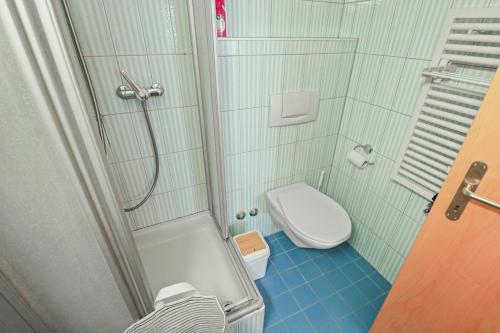 un piccolo bagno con doccia e servizi igienici di Studio chaleureux avec vue sur les montagnes a Leukerbad