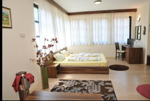 ein Schlafzimmer mit einem Bett und einem Schreibtisch in einem Zimmer in der Unterkunft Хотел Свети Никола in Mělník