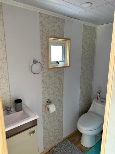 een badkamer met een toilet, een wastafel en een spiegel bij RACO DE PIRQUE in Pirque