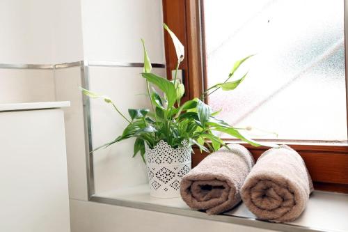 a window sill with towels and a plant on it at Appartement Schwarzwaldstüble in Oberharmersbach