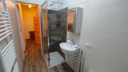 a bathroom with a sink and a glass shower at APPARTAMENTO BELLAVISTA in Caspoggio