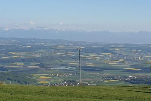 a telephone pole on top of a green field at Coup d'œil in Bullet