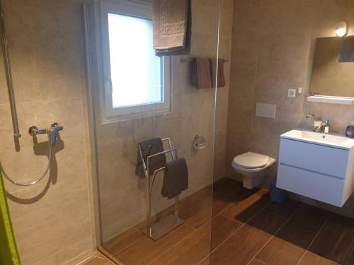 a bathroom with a shower and a toilet and a sink at Coup d'œil in Bullet