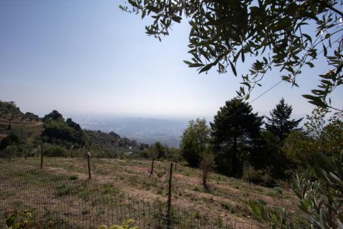 a view of a field with trees in the distance at Villa Iris with Swimming Pool in Capannori