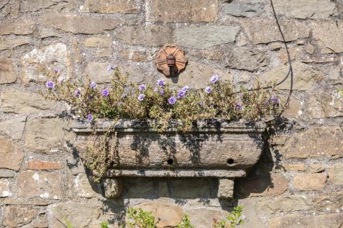 a stone wall with a planter with purple flowers at Villa Iris with Swimming Pool in Capannori