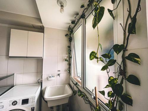 a bathroom with a sink and a plant on the wall at Apartamento super agradável! Perto de tudo em Águas Claras in Brasilia
