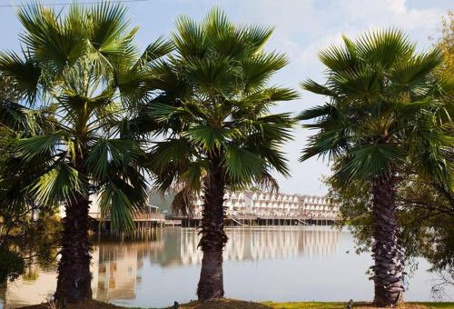 three palm trees in front of a body of water at Scenic Carolina Waterfront Rentals - Arco in Charleston