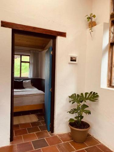 Habitación con cama y maceta en Casa Abrigo, en Tocancipá
