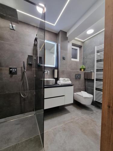 W łazience znajduje się prysznic, umywalka i toaleta. w obiekcie Osijek Luxury Center - self check in, free private parking w mieście Osijek