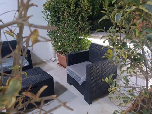 Garden boutique – Photos 3