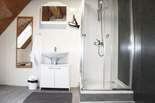 La salle de bains est pourvue d'une douche et d'un lavabo. dans l'établissement Fully equipped Apartments, à Bönnigheim