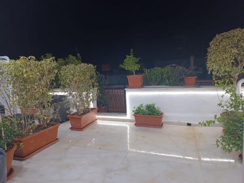 Garden boutique – Photos 2