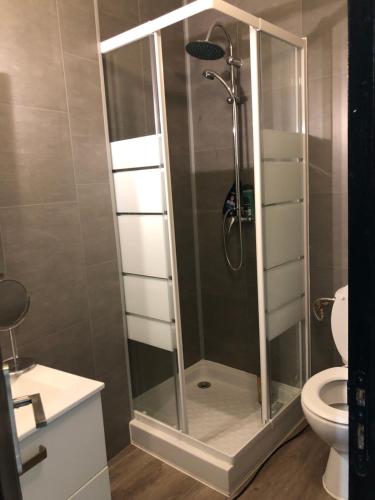 a shower with a glass door in a bathroom at Charmant T2 centre ville in Givet