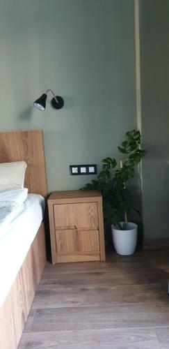 a bedroom with a bed and a potted plant at Love Journey Tbilisi in Tbilisi City