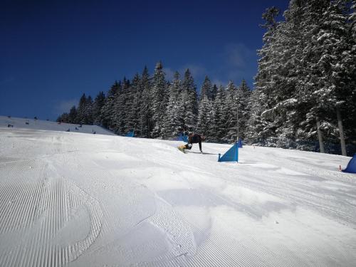 a person skiing down a snow covered slope with trees at POHORJE HOUSE 2 FOUR APPARTMETNS in Oplotnica