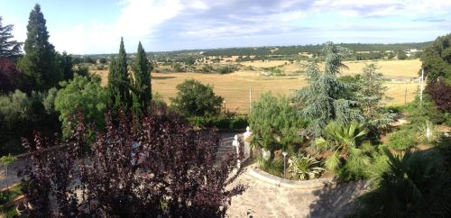 an overhead view of a garden with plants and trees at B&B Brunone in Alberobello