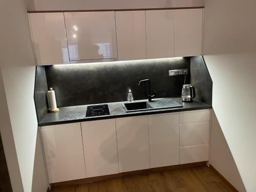 Kuchyň nebo kuchyňský kout v ubytování Apartment Elinel