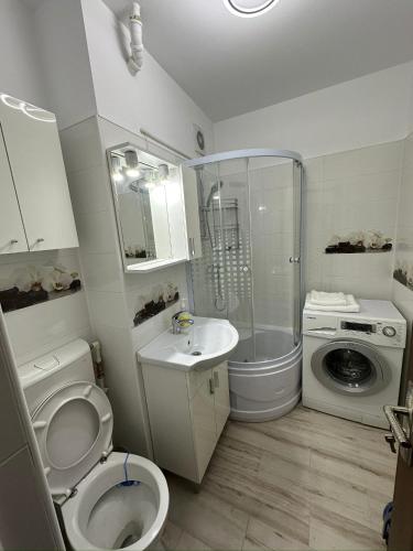 a bathroom with a toilet and a sink and a washing machine at Crang Luxury View in Buzău