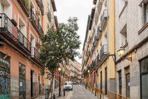 Homelike Lavapies 2 bedroom