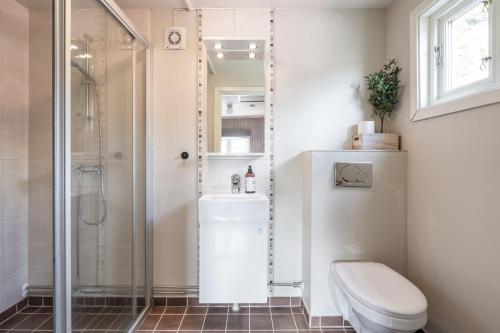 a bathroom with a shower and a toilet at Vesterålen Rorbuer in Bø i Vesterålen