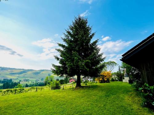 アッペンツェルにあるChalet - Kleines Paradies -の緑地中の木