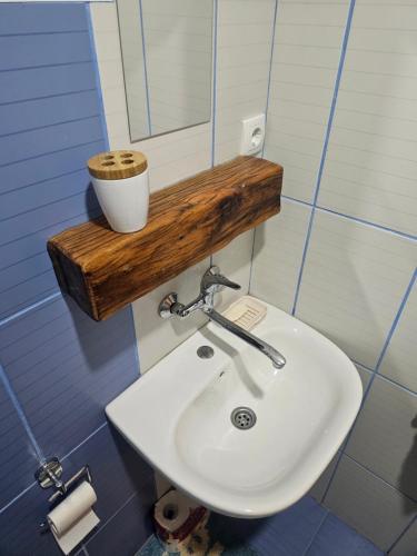 a bathroom with a white sink and a mirror at Šumor šume - Tara in Kaludjerske Bare